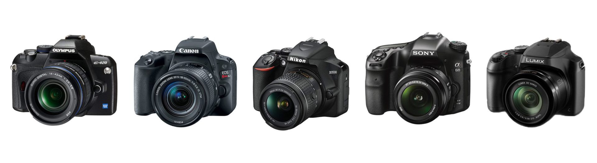 DSLR cameras from the five main brands - Olympus, Canon, Nikon, Sony, and Panasonic.