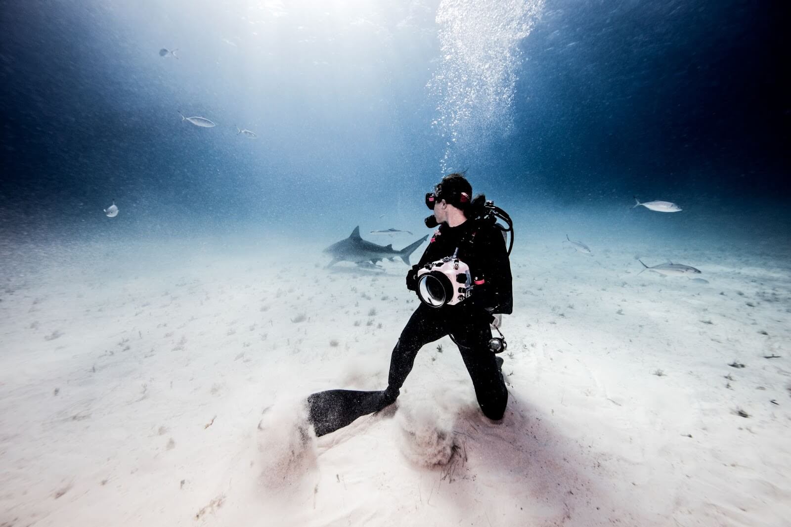 underwater videography
